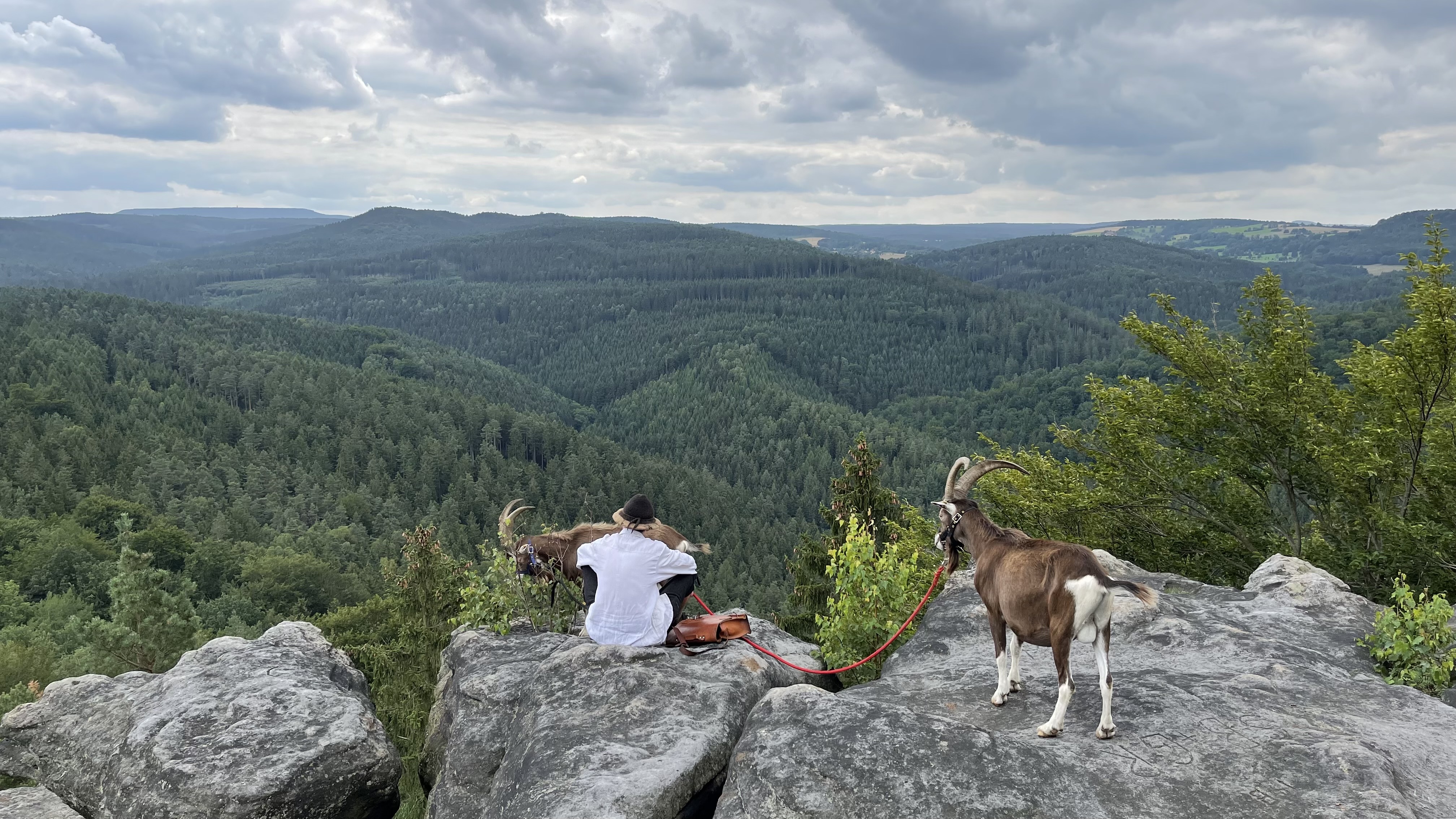 Ziegenwanderung auf den Quirl 2023