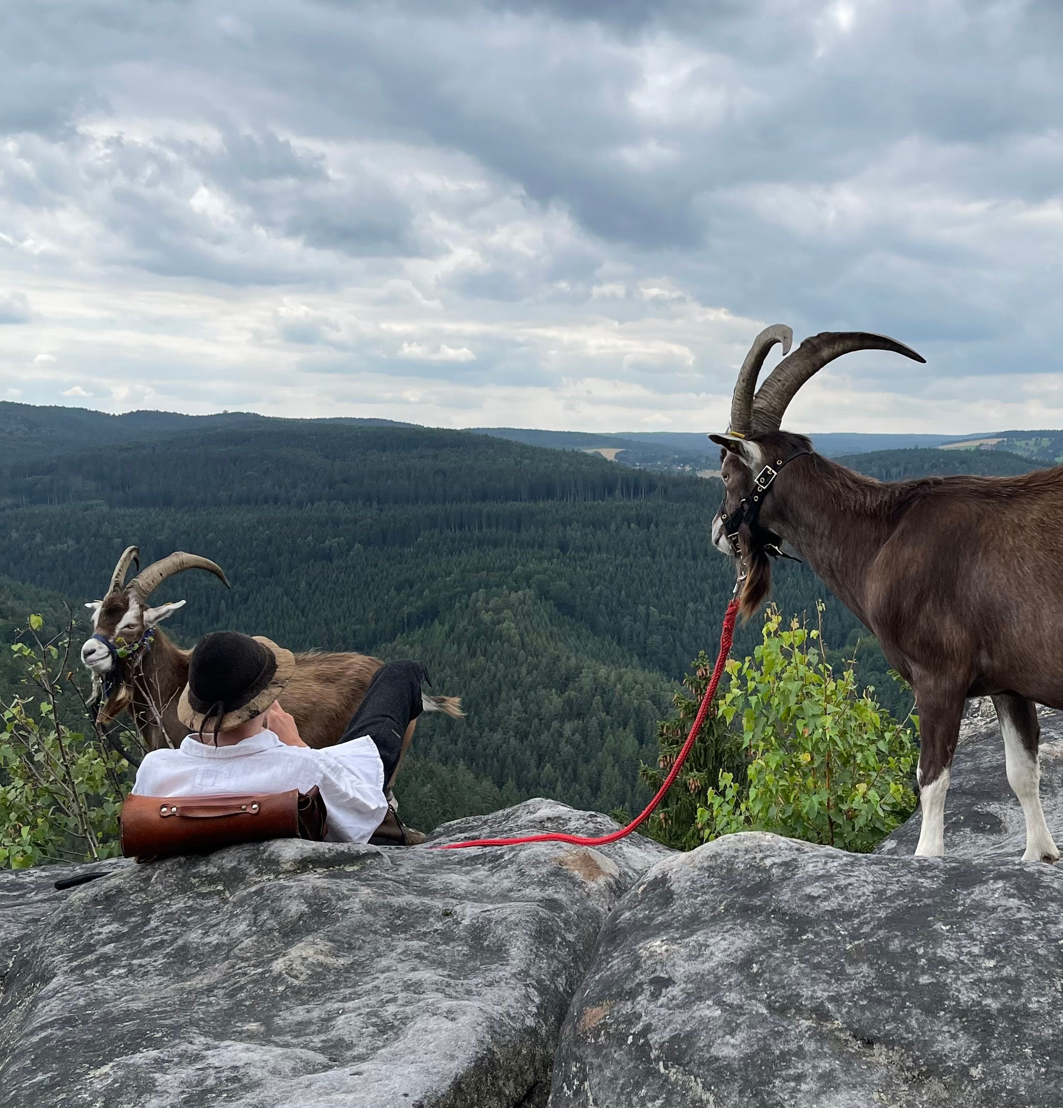 Ziegenwanderung auf den Quirl 2023